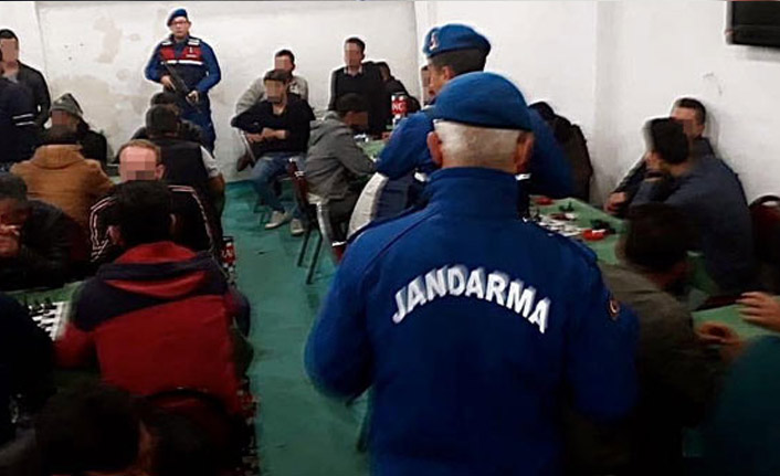 Tavuk çiftliğine baskın yapıldı manzara şok etti!