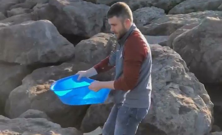Tezgahta canlı gördüğü balığı satın alıp denize bıraktı