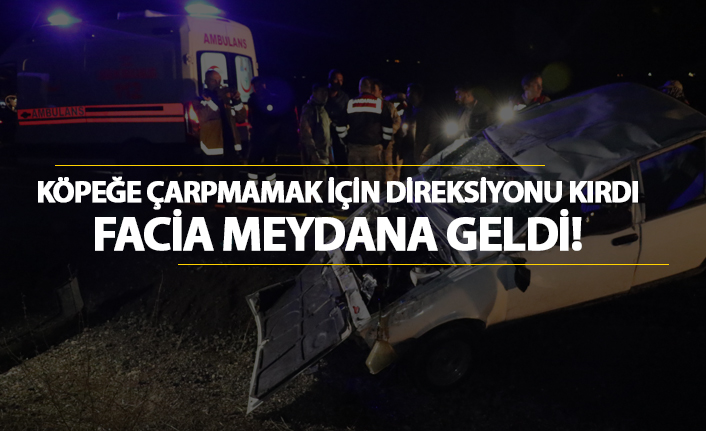 Köpeğe çarpmamak için direksiyonu kırdı, facia meydana geldi!