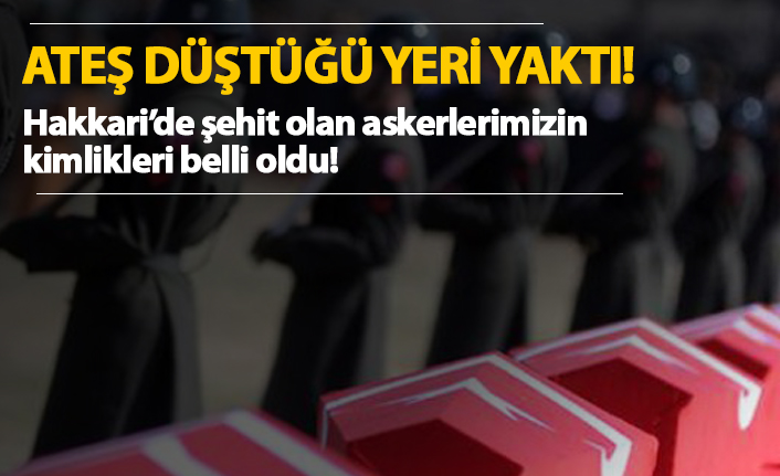 Ateş düştüğü yeri yaktı! Hakkari'de şehit olan askerlerimiz..