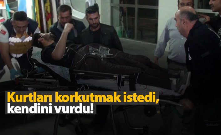 Kurtları korkutmak istedi, kendini vurdu!