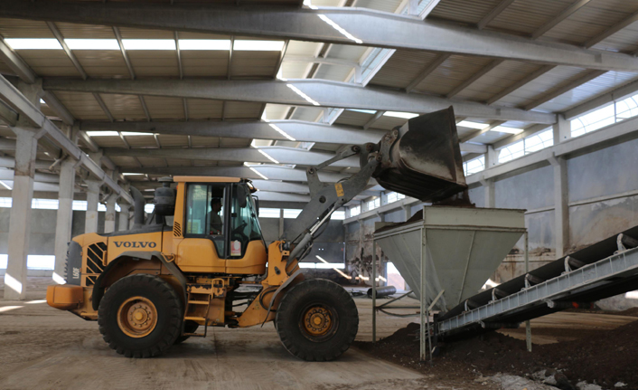 Tavuk gübresinden elektrik üretildi!