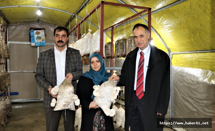 Belediye başkanından istiridye satışı için yer istediler