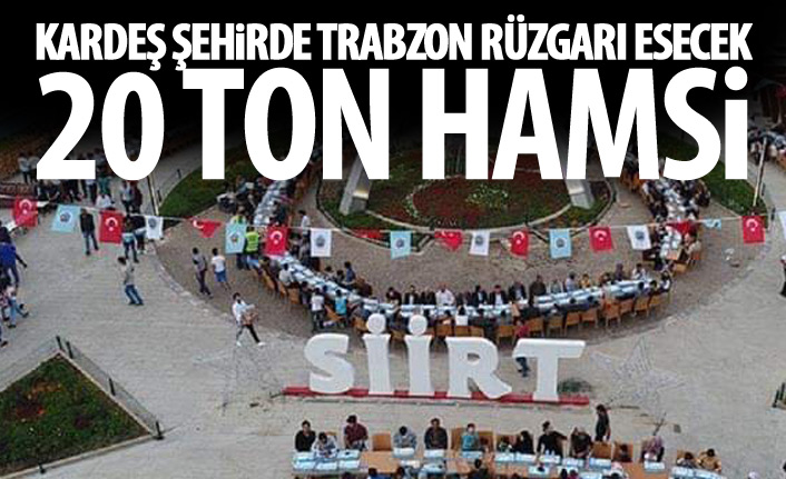 Siirt'te hamsi festivali