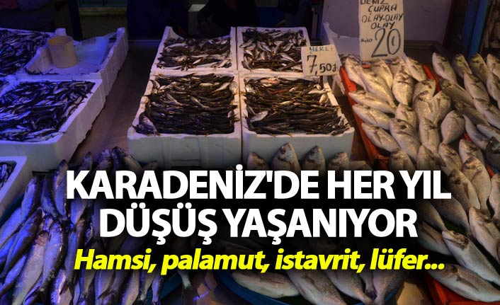 Karadeniz'de her yıl düşüş yaşanıyor - Hamsi, palamut, istavrit, lüfer...