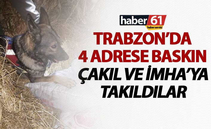 Trabzon’da 4 adrese baskın - Çakıl ve İmha’ya takıldılar