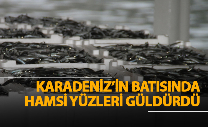 Karadeniz'in batısında hamsi yüzleri güldürdü!