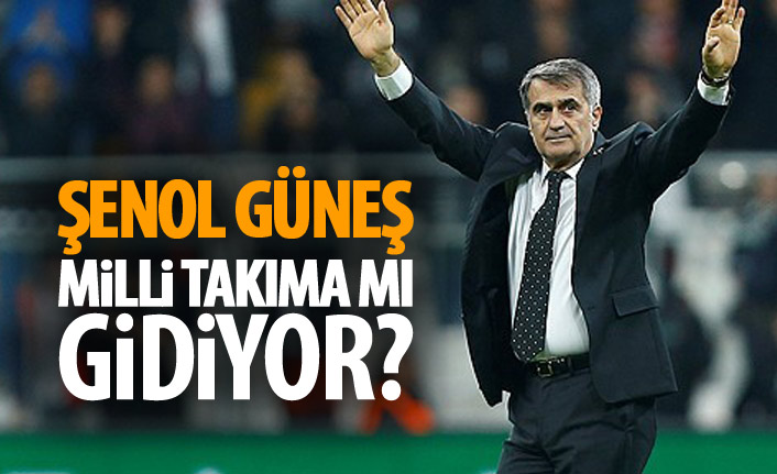 Şenol Güneş Milli Takıma mı gidiyor?