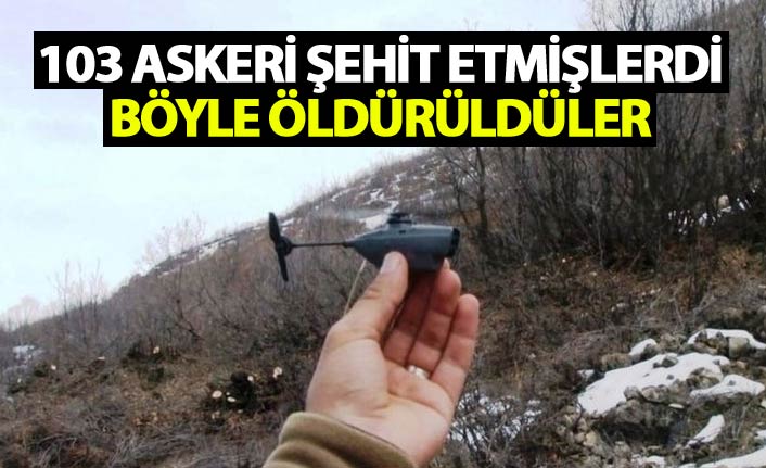 103 askeri şehit etmişlerdi - Böyle öldürüldüler