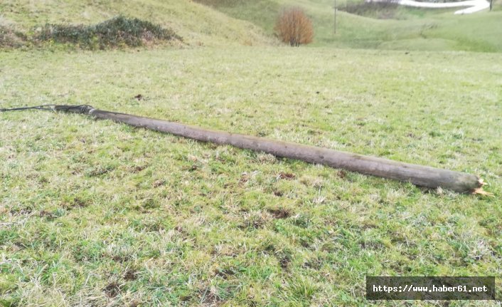 Trabzon'da talihsiz kaza! Elektrik direği başına düştü!