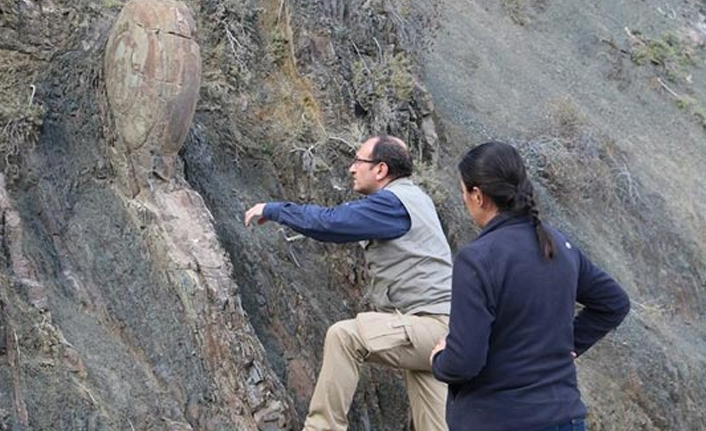 Müzeye taşınamadı yerinde korumaya alınacak