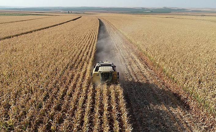 TMO'dan çiftçiye 'alım fiyatı' müjdesi