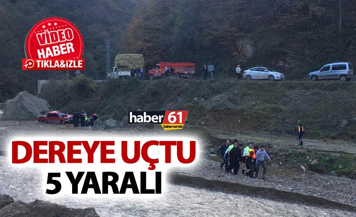 Trabzon'da kamyonet dereye uçtu - 5 yaralı
