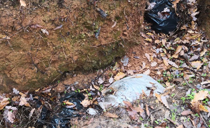 PKK'lı teröristlerin sığınakları imha edildi