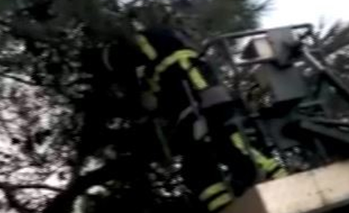 Sığırcık kuşu itfaiye ekiplerini harekete geçirdi