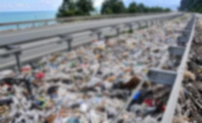 Yollar çöplüğe döndü