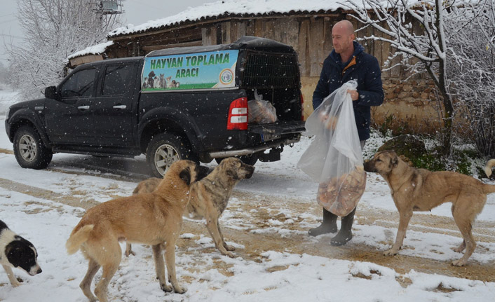 Kış aylarında sokak hayvanlarını unutmadılar