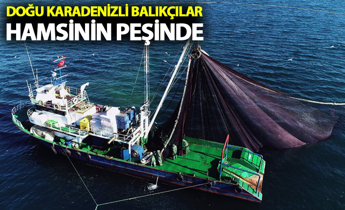 Doğu Karadenizli balıkçılar hamsiyi Batı Karadeniz’de arıyor