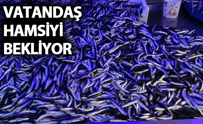 Trabzon'da vatandaş hamsiyi bekliyor