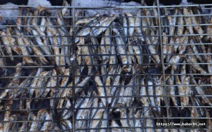 Engelli vatandaşlar hamsi şenliğinde buluştu