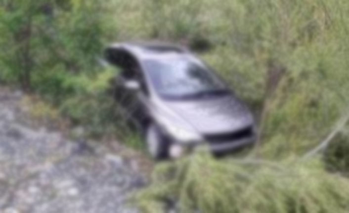 Yoldan çıkan otomobilin ırmağa düşmesine çalılıklar engel oldu