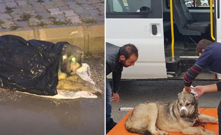 Öğrencilerden örnek davranış