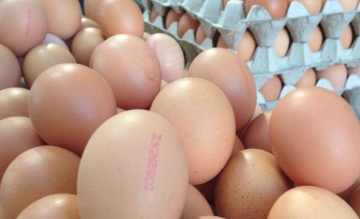 'Salmonella' bakterisi bulunan yumurtalar toplatıldı