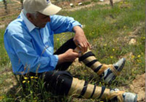 Keneye karşı koli bandı