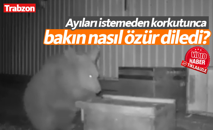 Trabzon'da istemeden korkuttuğu ayılara ikramda bulundu