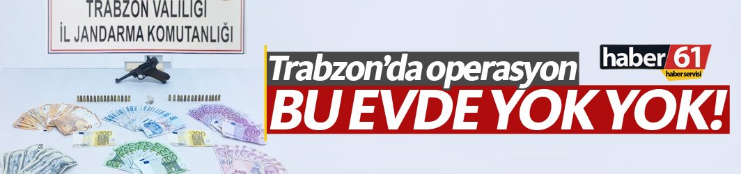 Jandarma ekiplerinin arama yaptığı evde çıkanlar şok etti