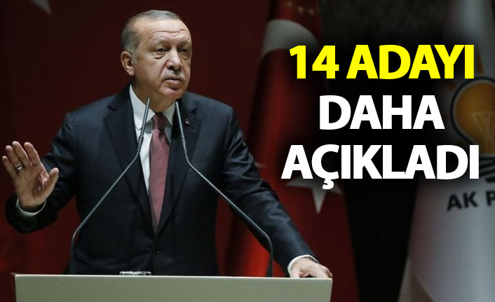 Cumhurbaşkanı Erdoğan 14 adayı daha açıkladı