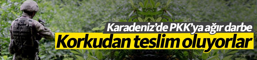 PKK'ya Karadeniz'de ağır darbe - Korkudan teslim oldular