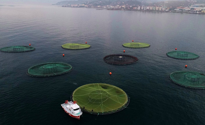 Karadeniz somonu Japonya'da suşi oldu