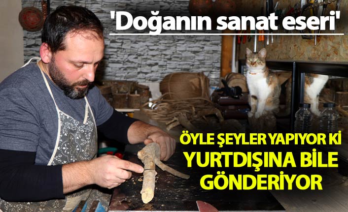 Doğanın sanat eseri -  Öyle şeyler yapıyor ki...