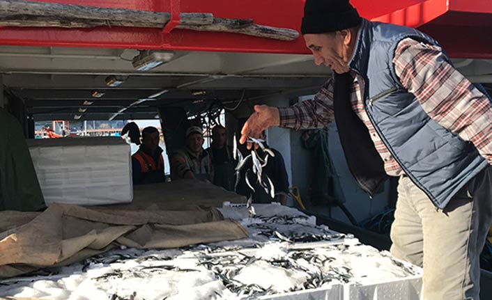 Balıkçılar tonlarca hamsiyle döndüler