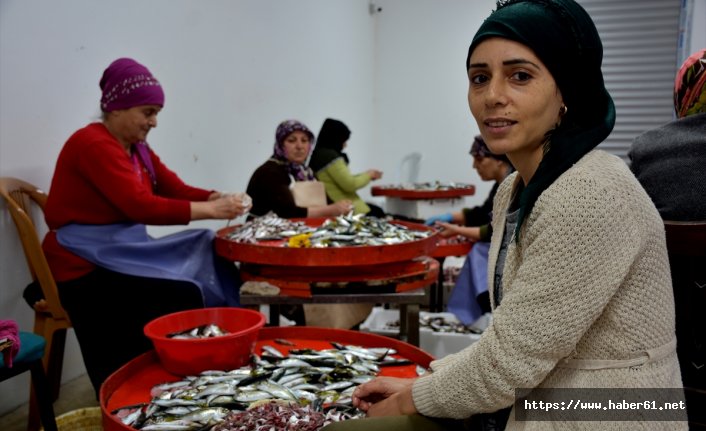 Balıkhane ihtiyaç sahibi kadınlara ekmek kapısı oldu