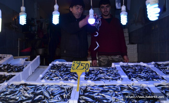 Tezgahlarda hamsi bolluğu var ama alan yok!