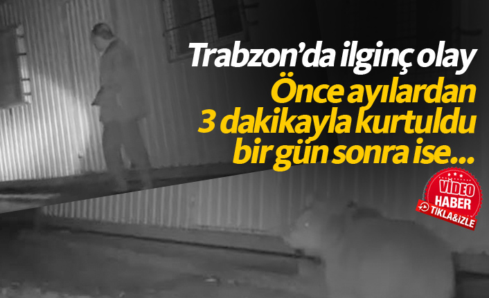 Trabzon'da önce ayılardan 3 dakika ile kurtuldu, bir gün sonra karşılaştı