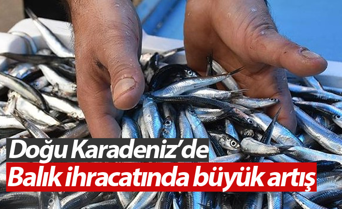 Doğu Karadeniz'de balık ihracatı arttı