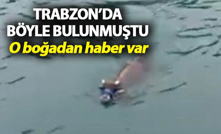 Trabzon'da denizde yakalanan boğadan haber var