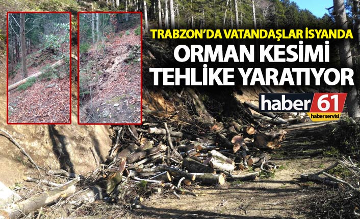 Trabzon’da vatandaşlar isyanda – Orman kesimi tehlike yaratıyor