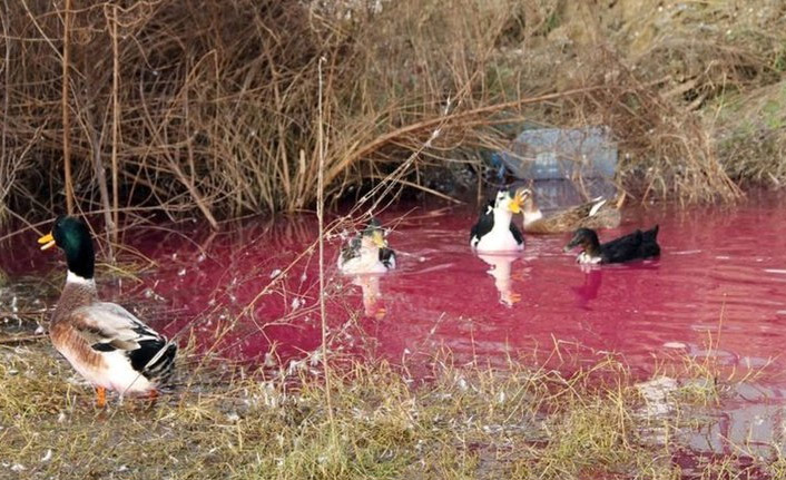 Kırmızı su paniği