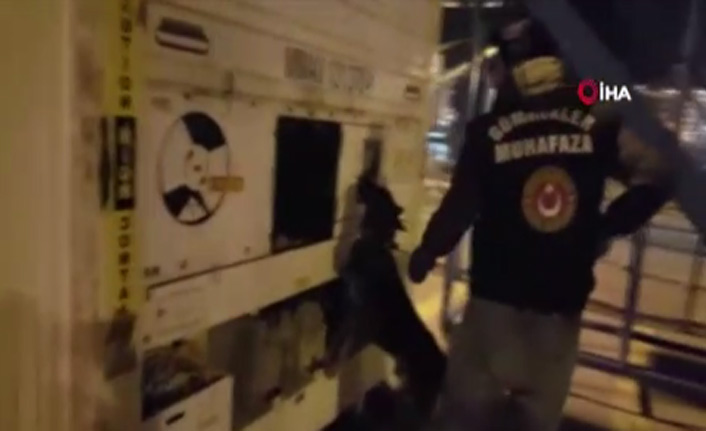 Muz yüklü konteynerden çıkanlar şok etti