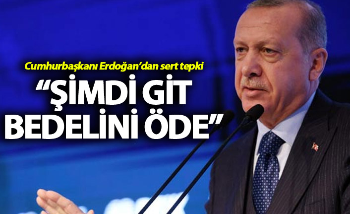 Cumhurbaşkanı Erdoğan'dan sert tepki: "Şimdi git bunun bedelini öde"