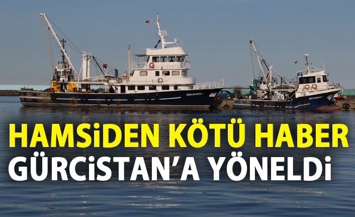 Sürüler Gürcistan'a yöneldi, hamsi avı azaldı