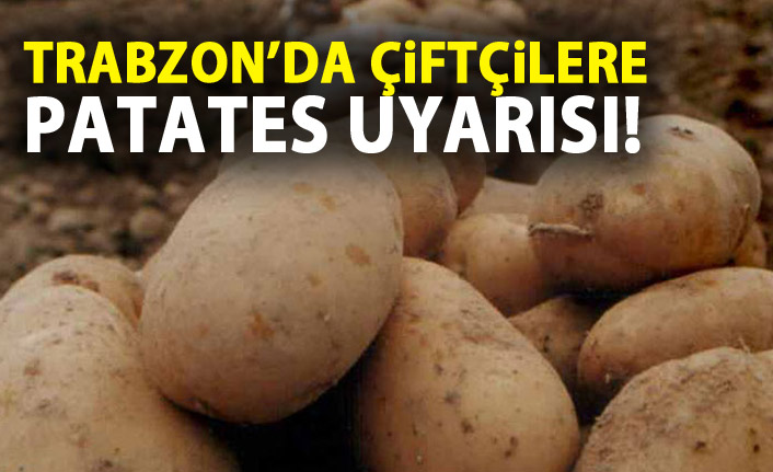 Trabzon'da çiftçilere patates uyarısı