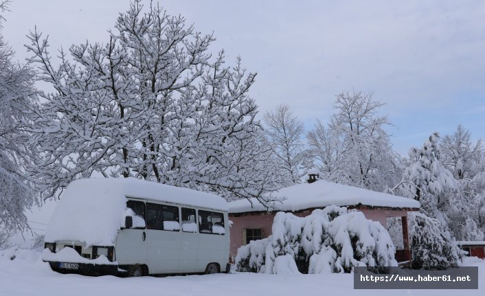 Karadeniz kara teslim!