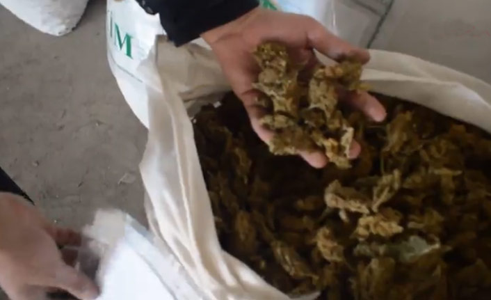 Türkiye tarihinde bir ilk! Gümrükte yakalandı