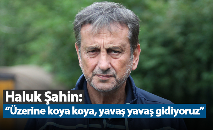 Haluk Şahin: "Üzerine koya koya, yavaş yavaş gidiyoruz"
