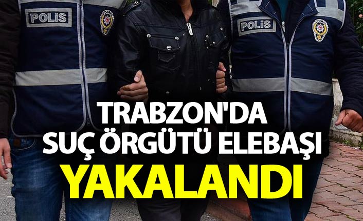 Trabzon'da suç örgütü elebaşı yakalandı